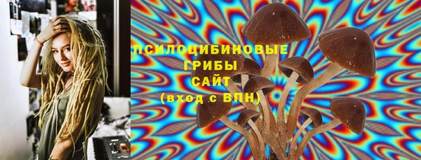 хмурый Вязники